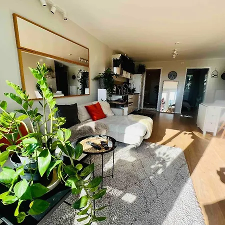 With An Amazing View