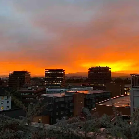 Apartament With An Amazing View